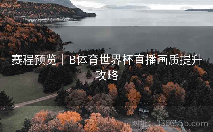 赛程预览｜B体育世界杯直播画质提升攻略