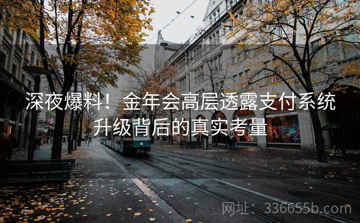 深夜爆料！金年会高层透露支付系统升级背后的真实考量